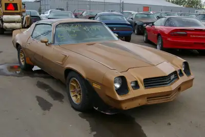 David Ts Camaro & Firebird This is an original Canadian, 350 4 speed with number matching engine, ve...