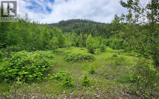 5360 6 Highway Rosebery, British Columbia in Land for Sale in Nelson - Image 15