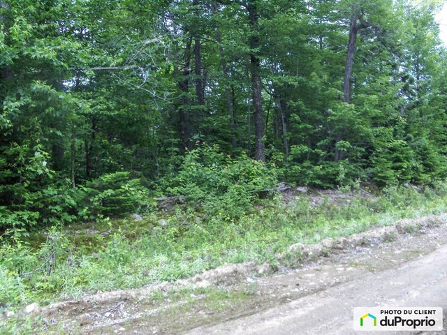 $85,000 - Residential Lot for sale in Petite-Riviere-St-Francois — photo 2