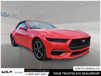 2025 Ford Mustang EcoBoost Premium Odometer is 1188 kilometers below market average! Ready for anyth... (image 4)