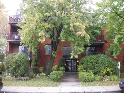 *** 3 1/2 VIEUX-LONGUEUIL ***