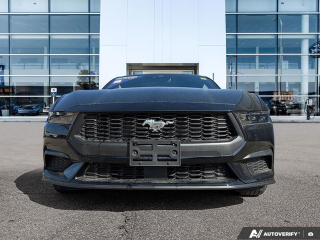 2025 Ford Mustang EcoBoost Premium 2.3L | Paint Protection Film  in Cars & Trucks in Winnipeg - Image 2