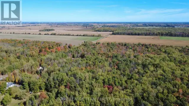 10586 SEIBERT ROAD South Dundas, Ontario in Land for Sale in Brockville - Image 10