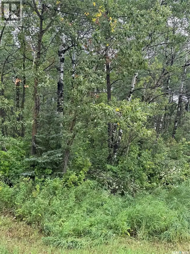 Kerlak Cabin retreat acres Hudson Bay Rm No. 394, Saskatchewan in Land for Sale in Nipawin - Image 3