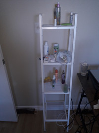 Frame Ladder Shelf Bookcase