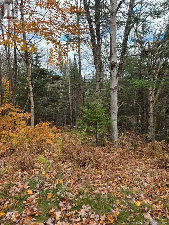 21-01 Worden Road Kingston, New Brunswick in Land for Sale in Saint John - Image 9