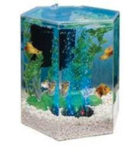 New Tetra Fish Aquarium Kit