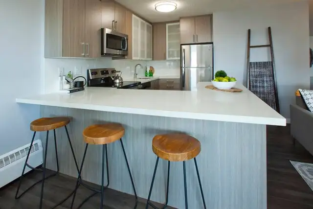 Renovated 3 Bdm.  Apt.  for Rent in Toronto's Danforth Village! in Long Term Rentals in City of Toronto - Image 7