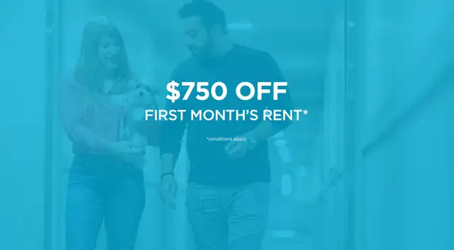Pet-Friendly Two Bedroom Two Bath with In-suite Laundry for Rent63235875332993120