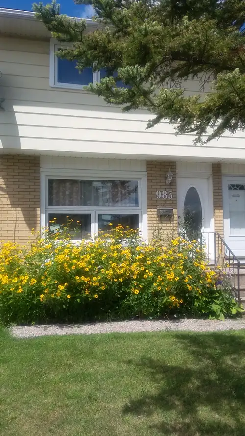 ALL INCLUSIVE ROOM CLOSE TO CARLETON U • Walk to Carleton U or take bus 111 • Furnished with bed, ma...