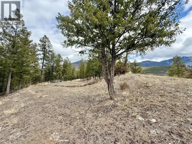 2400 KOOTENAY RD NO 3 Road Lot# 2 Windermere, British Columbia in Land for Sale in Cranbrook - Image 5