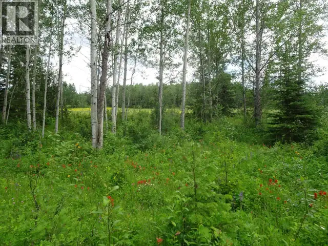 DL5277 DAY ROAD Horsefly, British Columbia in Land for Sale in Williams Lake - Image 22