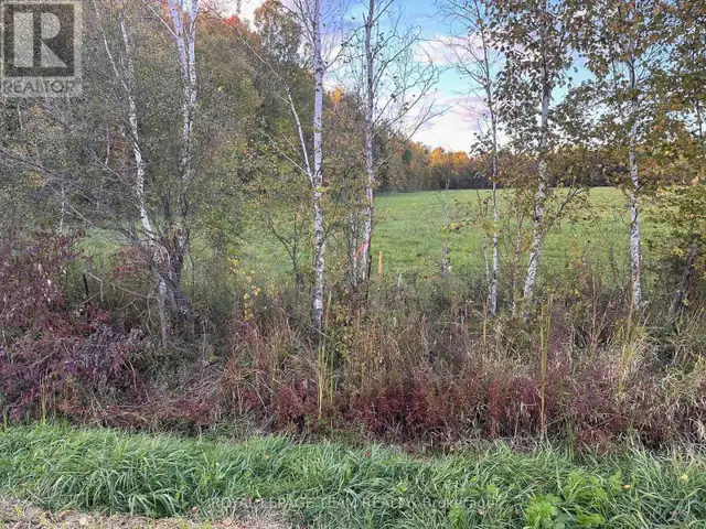 00 COUNTY ROAD 20 ROAD North Grenville, Ontario in Land for Sale in Woodstock - Image 6