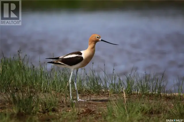 6 Bronco DRIVE Big River Rm No. 555, Saskatchewan in Houses for Sale in Meadow Lake - Image 37