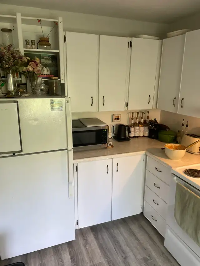 Beautifully Renovated 1-Bedroom Apartment for Rent in Arnprior in Long Term Rentals in Renfrew - Image 7