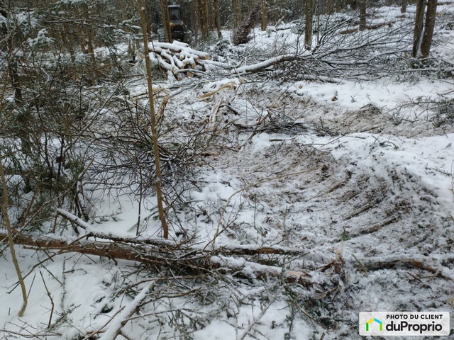 $495,000 - Wood Lot for sale in Cookshire-Eaton — photo 3
