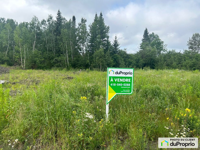 58 000$ - Terrain résidentiel à vendre à St-Honore-De-Chicoutimi dans Terrains à vendre  à Saguenay