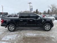 2021 Ford F-150 Platinum | 3.5L EcoBoost | MASSAGING SEATS If you’ve been waiting for the right truc... (image 5)