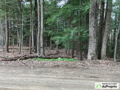 TERRAIN À VENDRE - CHEMIN LE ROY, MONTEBELLO, QC Terrain plat de 2 835,9 m² situé dans un cul-de-sac...
