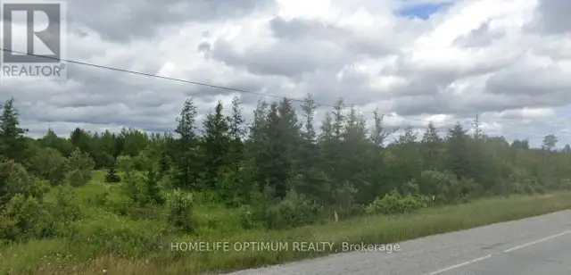 72.64 ACRES IN HAGGART TOWNSHIP - PCL 3841 Smooth Rock Falls (SR in Land for Sale in Timmins - Image 8
