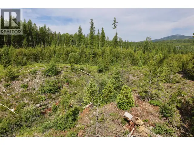 2375 BELCHROME FSR Road Bridesville, British Columbia in Land for Sale in Penticton - Image 8