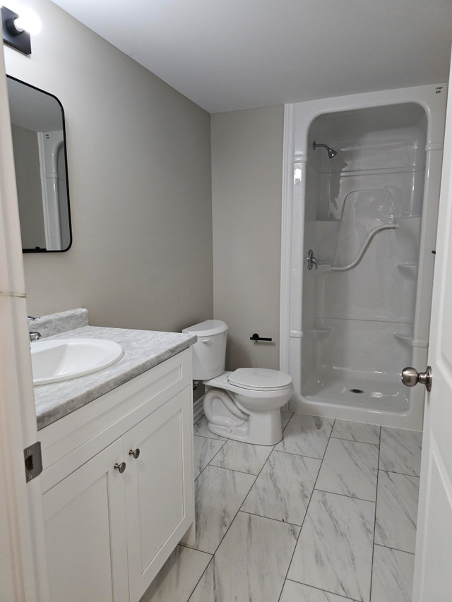 35 Superior Street  - 2 - Lower House for Rent in Long Term Rentals in St. Catharines - Image 4