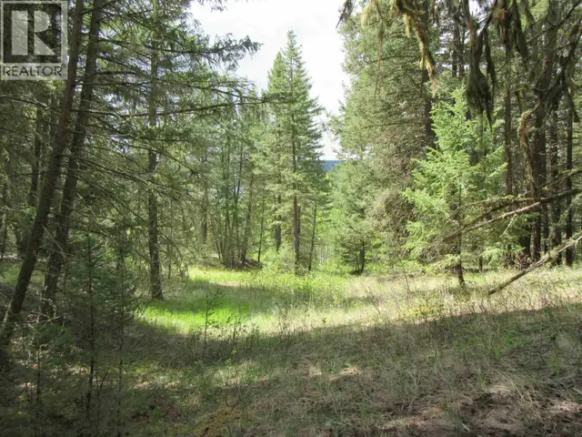 DL 2808 DONOVAN ROAD Lac La Hache, British Columbia in Land for Sale in 100 Mile House - Image 15