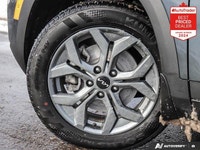 Gray 2025 Kia Seltos EX AWD CVT 2.0L I4 MPI DOHC 16V LEV3-SULEV30 146hp APPLE CAR PLAY, HEATED SEATS... (image 8)