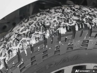 * 3.5L V6 ECOBOOST ENGINE * 3.73 AXLE * FORD CO-PILOT360 2.0 * POWER REAR SLIDER * B&O SOUND SYSTEM... (image 9)