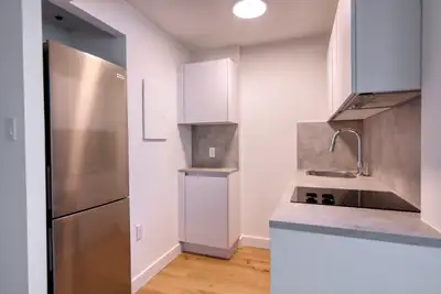 renovated studio apartment near blvd Saint-Laurent - ID 3829