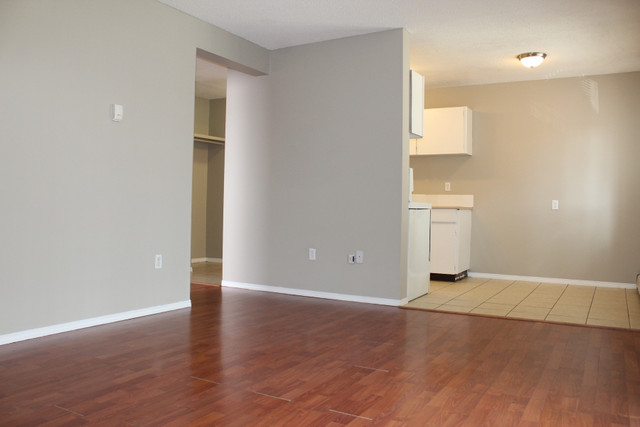 SAIT Area Apartment For Rent | Delburn House in Long Term Rentals in Calgary - Image 2