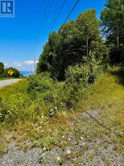 Discover this great 4.50-acre +/- wooded lot located along Highway 16 in Halfway Cove, just 10 minut...