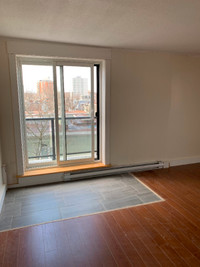 South End Corner Bachelor Apartment- Available now!