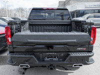 HD Surround Vision | Sunroof | Sport Steps | Head-Up Display | Rear Camera Mirror Wilson-Niblett Mot... (image 9)