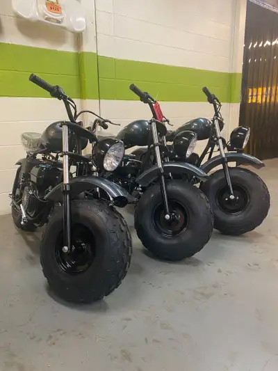 AXIS-M200 Mini Bike Price Transparency MSRP $1,399 Assembly & PDI $100 Final Price (without Tax) $1,...