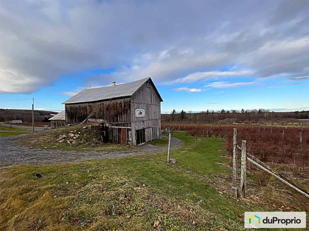 $1,500,000 - Farm for sale in Dunham — photo 1