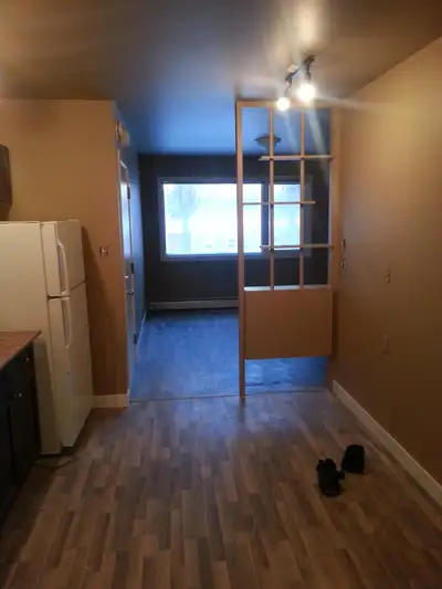 Varsity view/University 3 bedroom suite 3 blocks from university of Saskatchewan 3 min walk to unive...