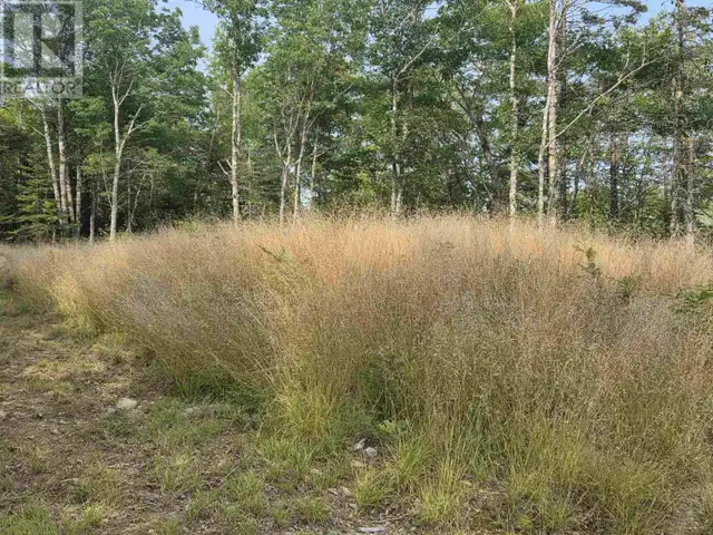 Highway 103 Sable River, Nova Scotia in Land for Sale in Yarmouth - Image 10