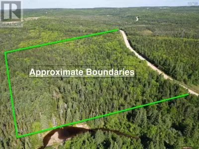 This large migrated and surveyed plot of land is an outdoorsman's dream. With multiple cleared pathw...