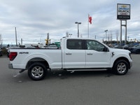There is a reason the F-150 dominates Vancouver Island job sites and back roads. It is built for peo... (image 4)