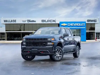 2019 Chevrolet Silverado 1500 Custom Trail Boss Vehicle Overview: Year: 2019 Make: Chevrolet Model:...