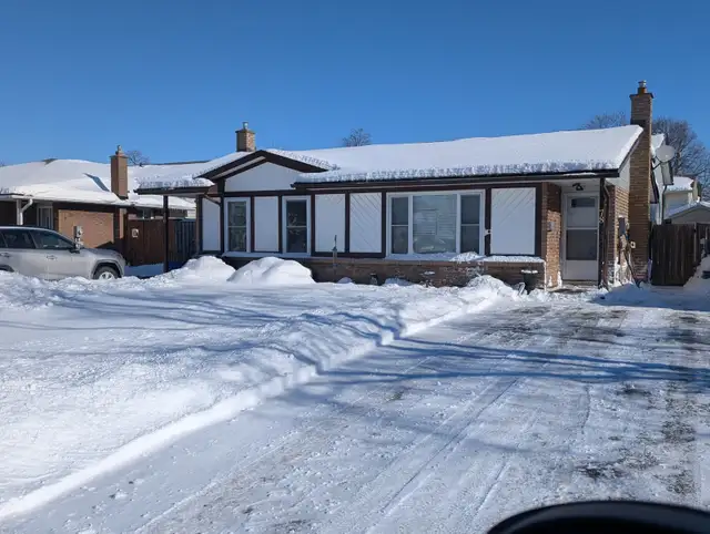 2 Student rooms Available  (Thorold)