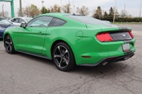 NO ACCIDENT Unleash the thrill of the open road with the 2019 Mustang Ecoboost Coupe. With its bold... (image 4)