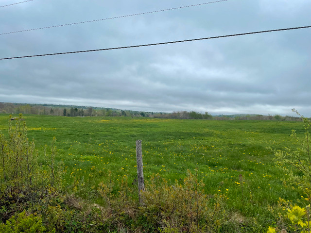 Route 705 (Lot B), Wickham (Water View) dans Terrains à vendre  à Saint-Jean - Image 3