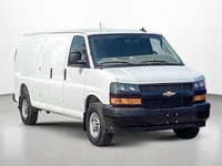 Only 8,659 Miles! This Chevrolet Express Cargo Van boasts a Gas V6 4.3L/ engine powering this Automa... (image 7)