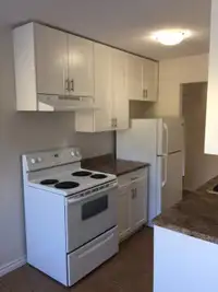 Driftwood Apartments - 2 Bedroom Apartment for Rent