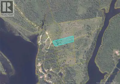 Set on approximately 3.35 acres, this wooded lot provides a great spot to build your ideal camp geta...