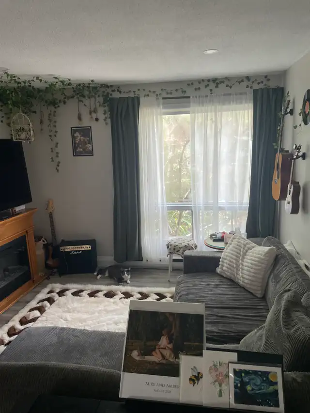 Beautifully Renovated 1-Bedroom Apartment for Rent in Arnprior in Long Term Rentals in Renfrew - Image 2