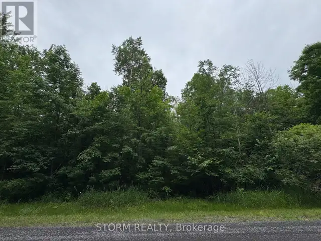 CON 8 BINGLEY ROAD South Stormont, Ontario in Land for Sale in Cornwall - Image 3