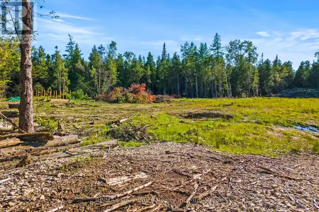 30 HURON PARK ROAD Northern Bruce Peninsula, Ontario in Land for Sale in Owen Sound - Image 5